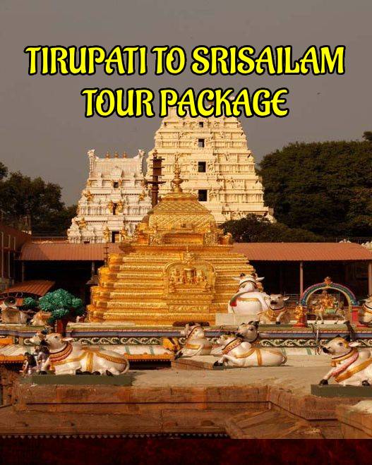 Srisailam Tour Package from Tirupati